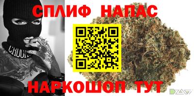 молекула духа Донской