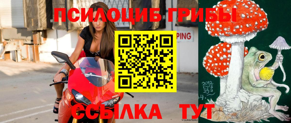 Псилоцибиновые грибы GOLDEN TEACHER  Галлюциногенные грибы мицелий  Вход с VPN  Кизилюрт 