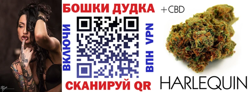 дарнет шоп Кизилюрт hydra ссылки Шишки марихуана VHQ